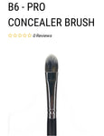 B6-Pro Concealer brush