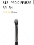 Brush Set-10 pc